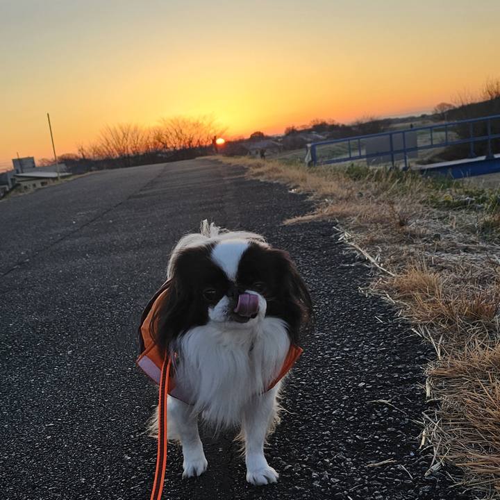 6a8b797a c1a7 4138 85c3 e907e1602e17 1736049757117