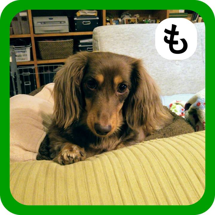 6a8bea83 bf49 4c7f 943e 398cd068e106 1514797672237