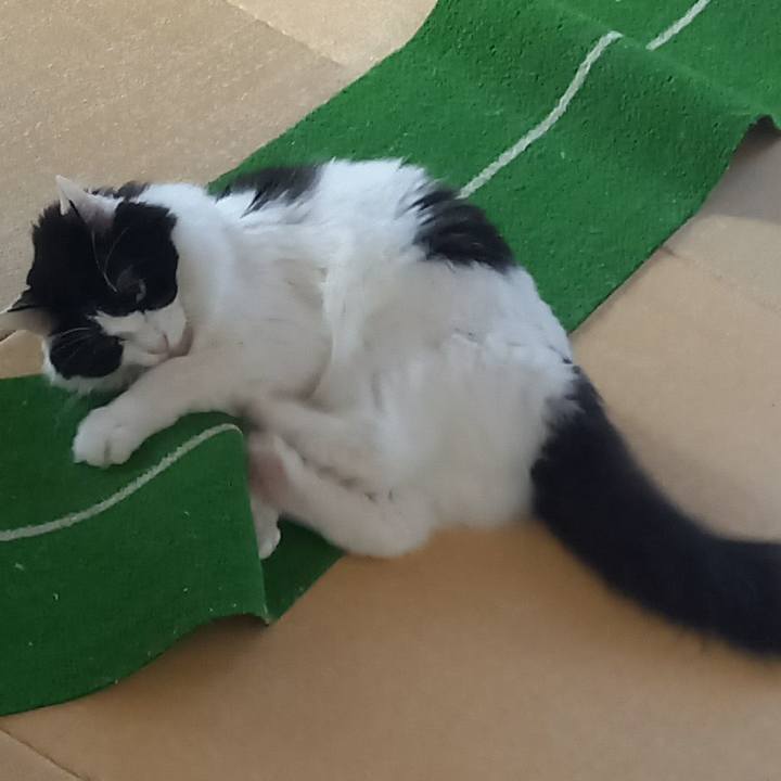 6a8c426e 60a8 4b9d 83e5 2e9a85793c07 1675898348987