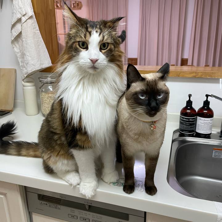 6a8c6be1 f493 4e59 b68c ef0b3e1555fb 1760902151899