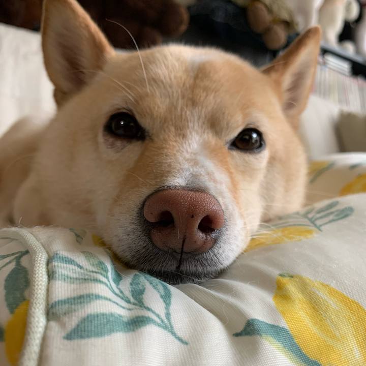 6a8c6f9c d125 4e25 af36 aa123c64643b 1630367366112