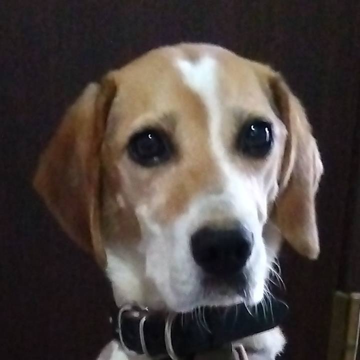 6a8c84bf 8e40 48e4 89d5 e9e41b1fb6ef 1692355633468