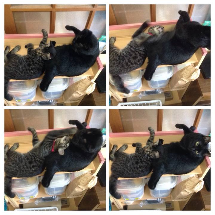 6a8c9fd3 cb89 42d4 a26b 6145ebd098eb 1534118716936