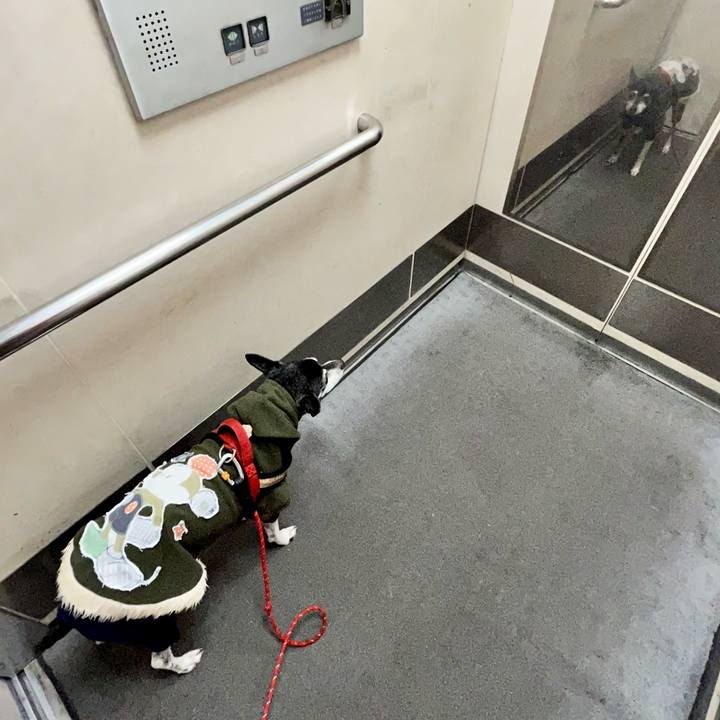 6a8ca1bc fc66 49b7 b11c ec5400f88b9f 1646434873797