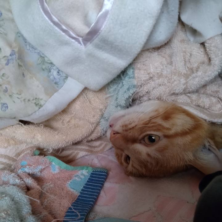 6a8cc0ba 9216 48b7 b790 e025552490e6 1681080200345