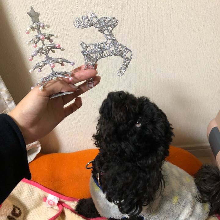 6a8ce0d2 8074 4ad3 839a f1d46bc9e1ad 1545811950185