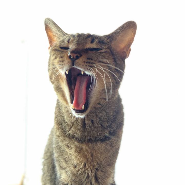 6a8cfabf 3d66 42cd 8126 51d5594b4529 1600131965083