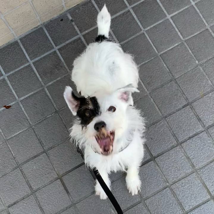 6a8d1f53 f9d6 429b b7b0 32f33b91d3c4 1659310784167