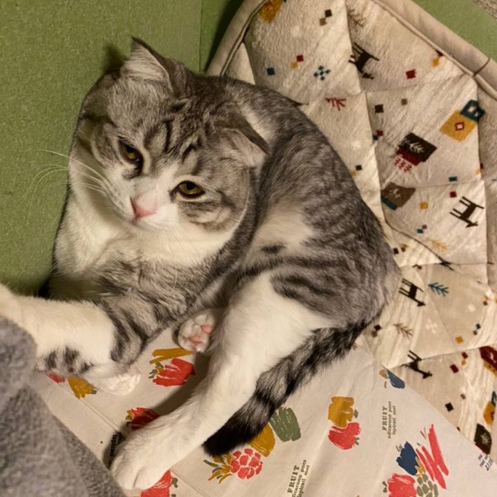 6a8d4a7b 41e2 4e53 967f 34a920c53665 1642246818391