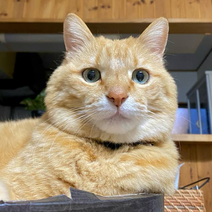 6a8d4eee 7773 4d97 b541 ce71c86e5321 1761953692908