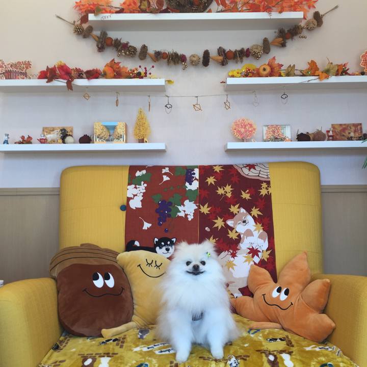 6a8d531f 5307 40be a300 02fd8011488a 1606099588149