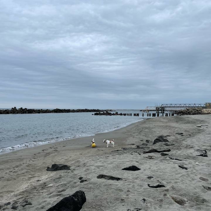 6a8d6f71 516a 4634 a60c 270d7aed909a 1682034564759