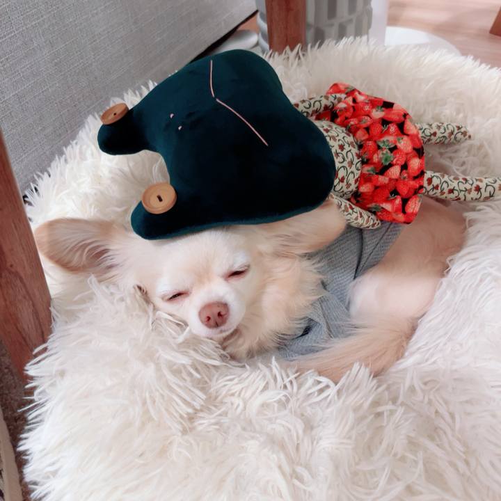 6a8d8749 fbff 4044 a3ad 639fb30c36af 1746093321285