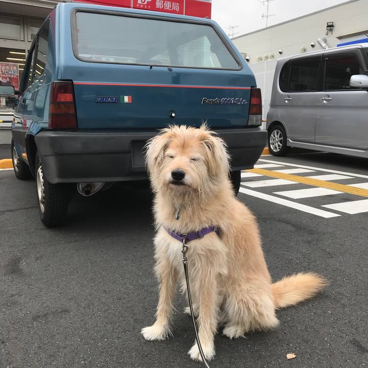 6a8e0e24 ed05 419a a9e5 d72919097bad 1543813230710