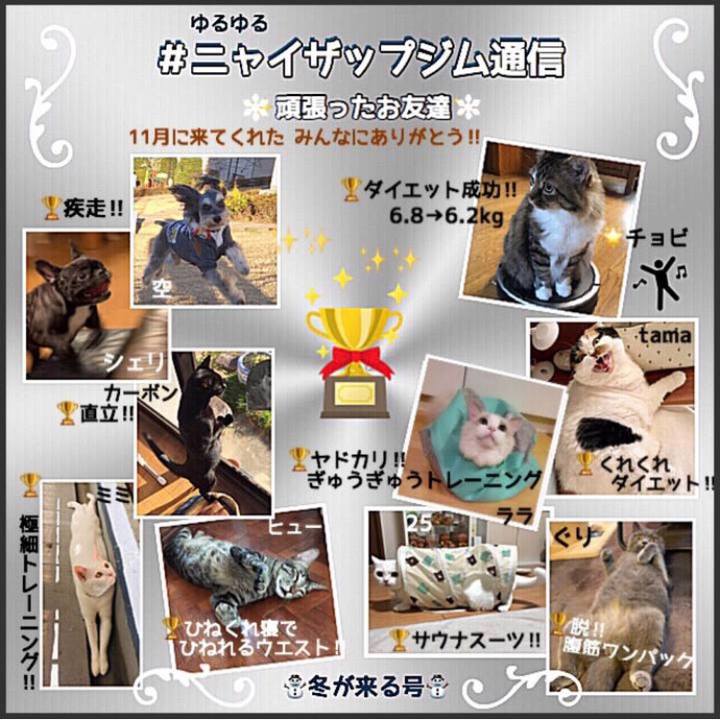 6a8e7903 8f8e 45e0 b404 d2c5fd391f4f 1575503714896