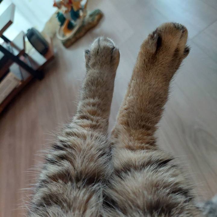 6a8e9c47 9b33 4817 882e 4507aecbd294 1732777715300