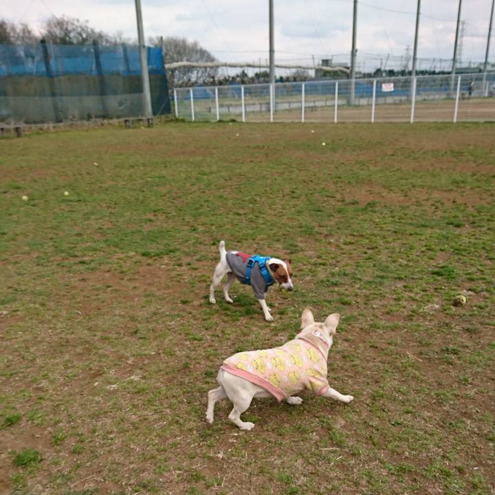 6a8e9dd7 5be7 4447 a7d0 0e663b747793 1552817899035