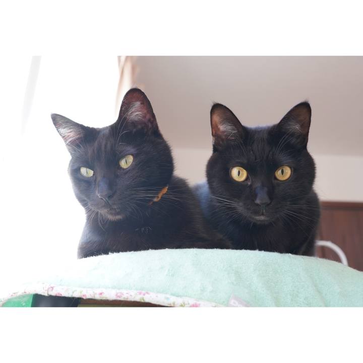 6a8eb98c 9441 478b b13d b25225cdca7b 1606561581932