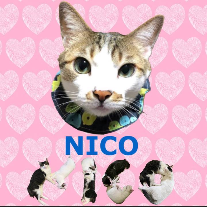 6a8ee6c6 3c93 4152 aeb1 2ac2db2fd331 1667688991423