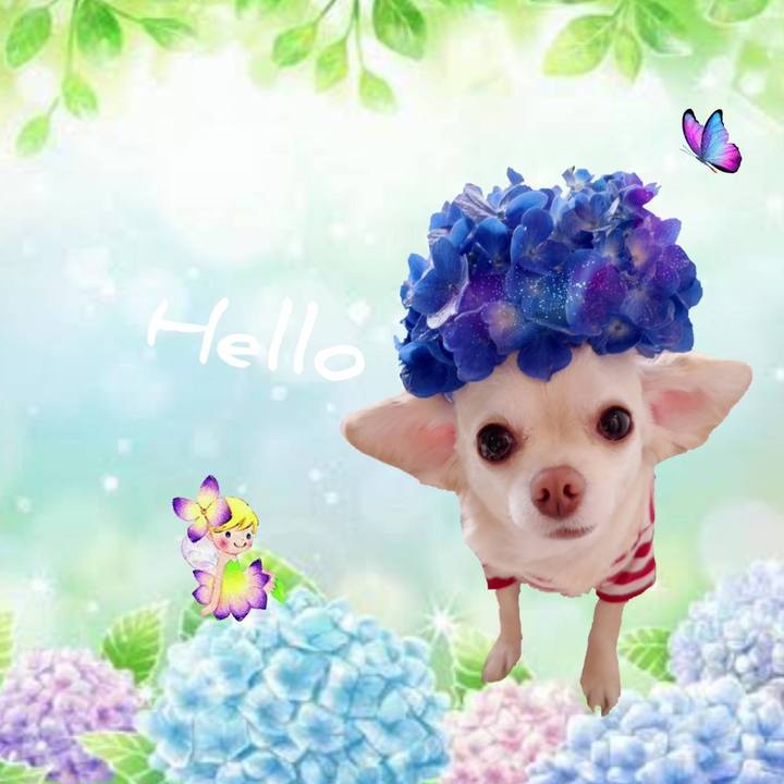 6a8f137b e949 423b aedd d156a4780fd1 1686543973310