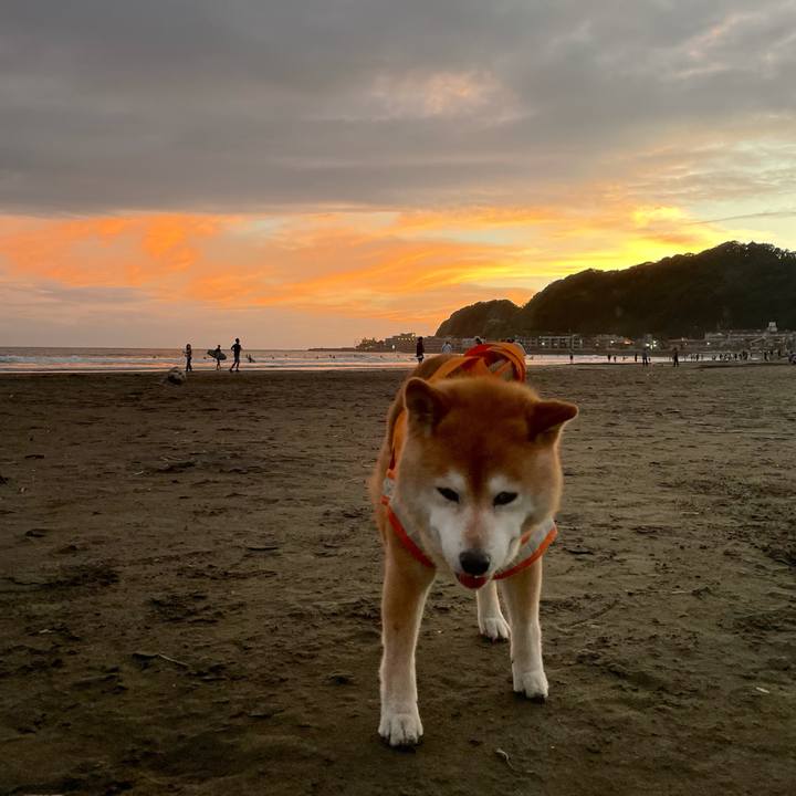 6a8f1600 eaad 479d b6cd e2ce2bb49045 1633011514211