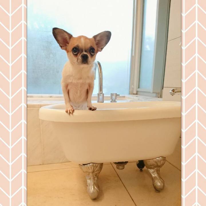 6a8f19a0 7451 4245 b844 f0fe3bcff862 1574065104480