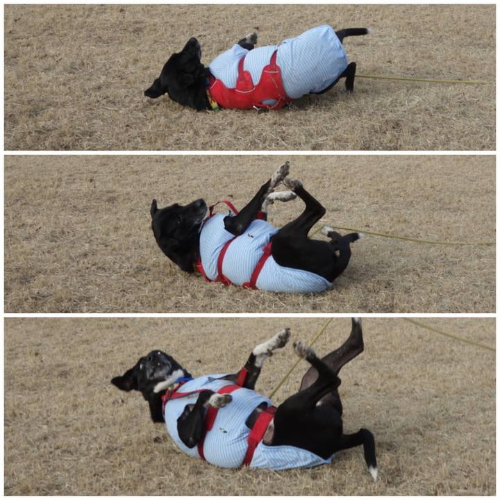 6a8f1a26 88e6 48c0 bd75 28abf2b02537 1675128927729