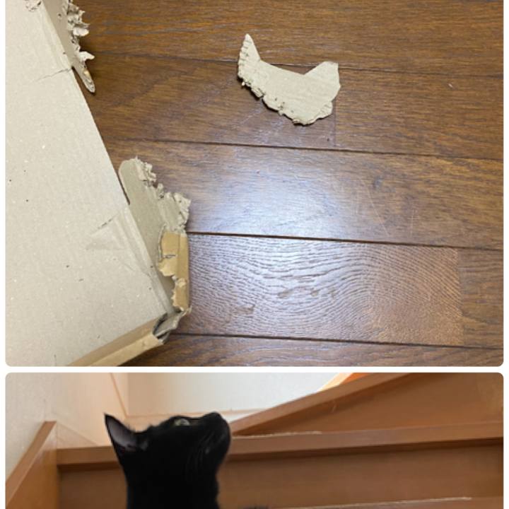 6a8f4fa4 9e09 4066 859d 2f992ac551ee 1632402965608