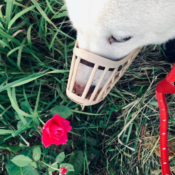 6a8fbe21 7666 4848 a297 7163f8c0043b 1664053361500