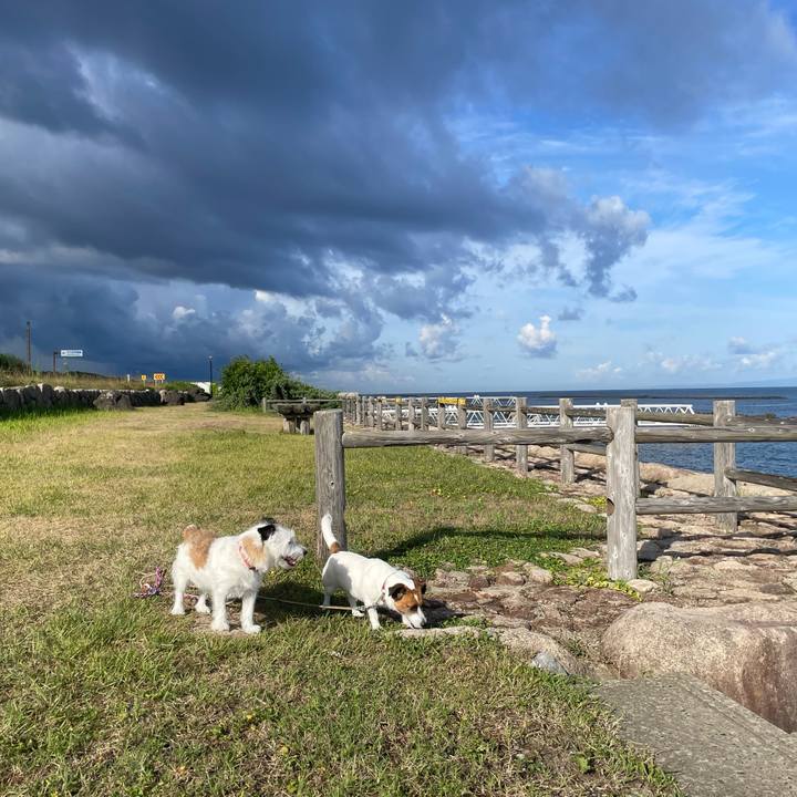 6a8fc4d1 1c99 48e6 960f 0a1f34aae9d1 1754694578173