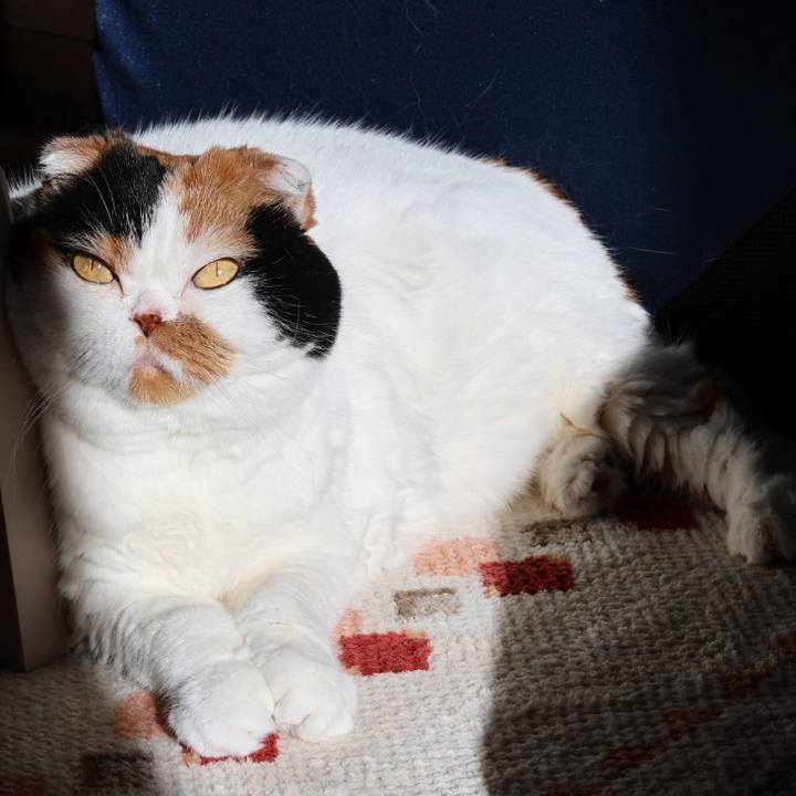 6a8fc7db 1faf 41af 92af c72d075c069e 1704409269342