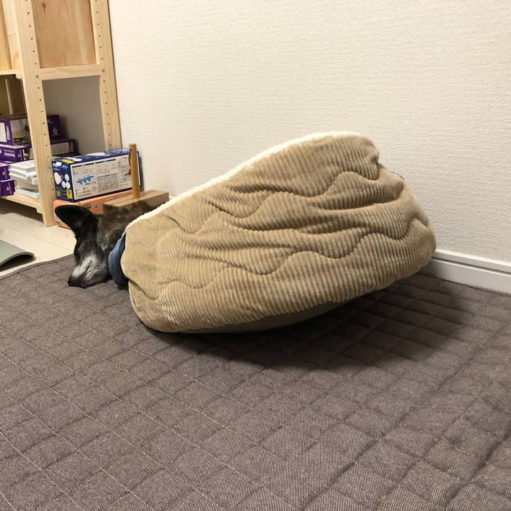 6a90376c faa6 4fb6 8659 fbb832909f03 1673433373607