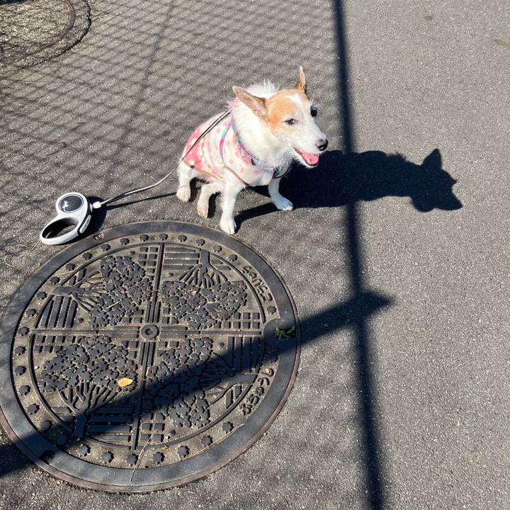 6a908dce 24e0 4b6f b8e2 22d9886bc336 1731021918924