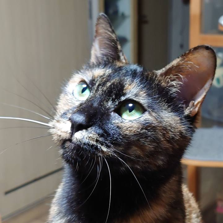 6a90a289 f57a 418f 8dd5 d88f525ae430 1717554053348