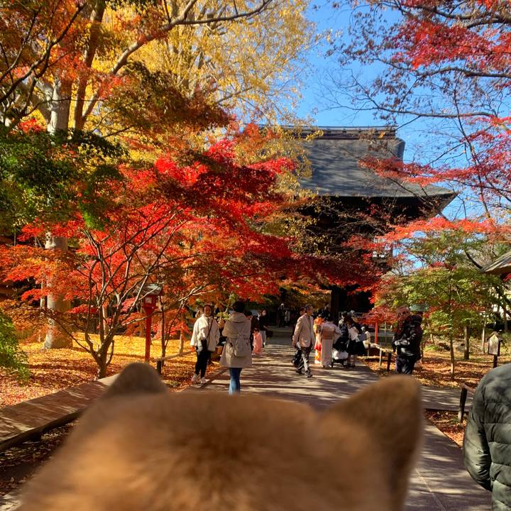 6a90aece 9a94 42c8 be45 9a6d1aedc5dd 1764841181041