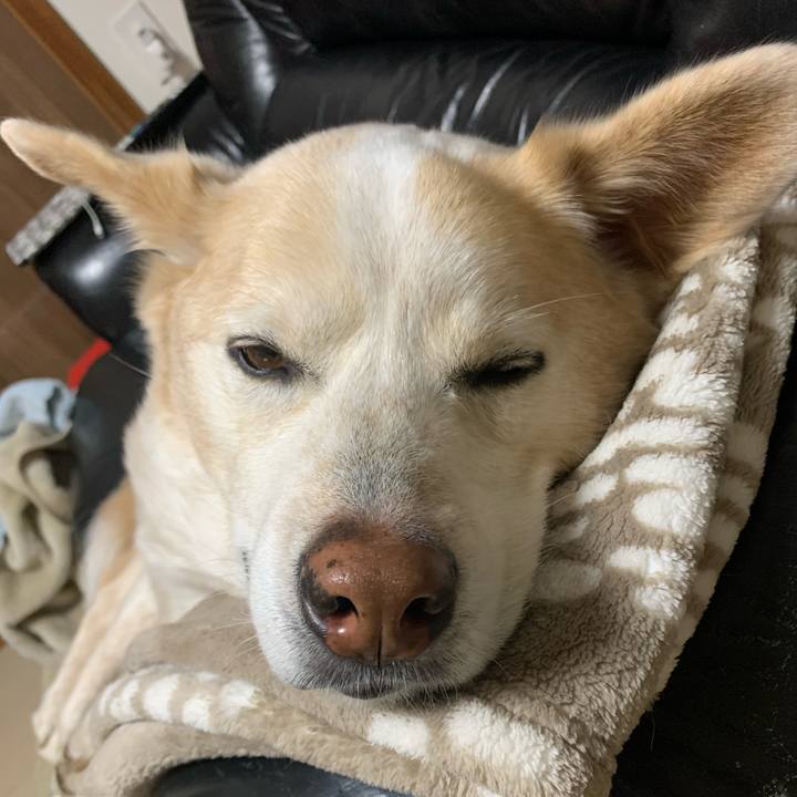 6a90b571 0fdc 4975 bdaf e437d4878260 1644671393699