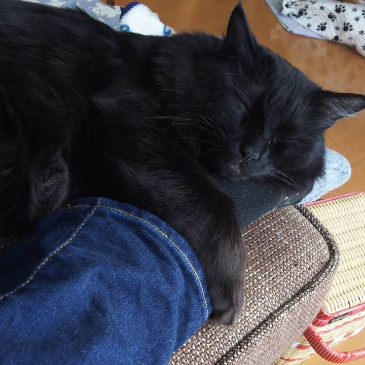 6a90b93a 9a9b 46ea 8e98 fa387e0a02dd 1519445130483