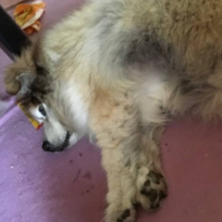 6a9136ce aec9 4f29 ad85 343075c20123 1597098995120