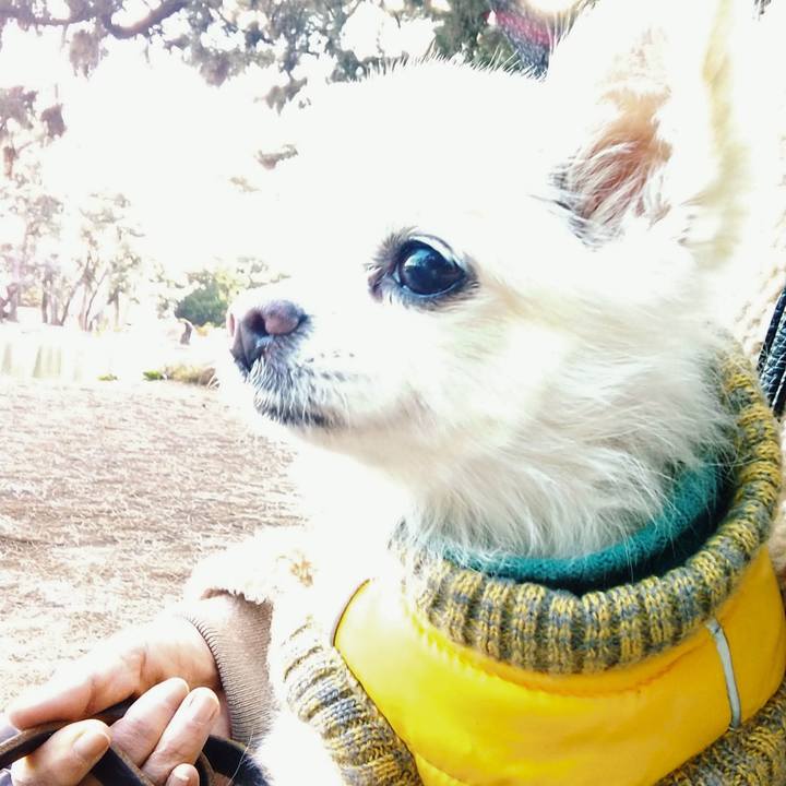 6a914870 4cad 4029 8ac8 c8cd23999347 1609486111403