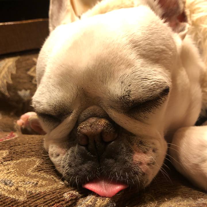 6a917fd0 1bed 45d2 a392 66dc522063aa 1608895731195