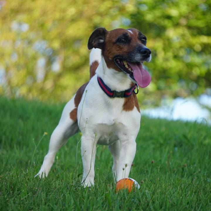 6a91bf92 3187 43d3 a030 06131bc0211a 1535151707319