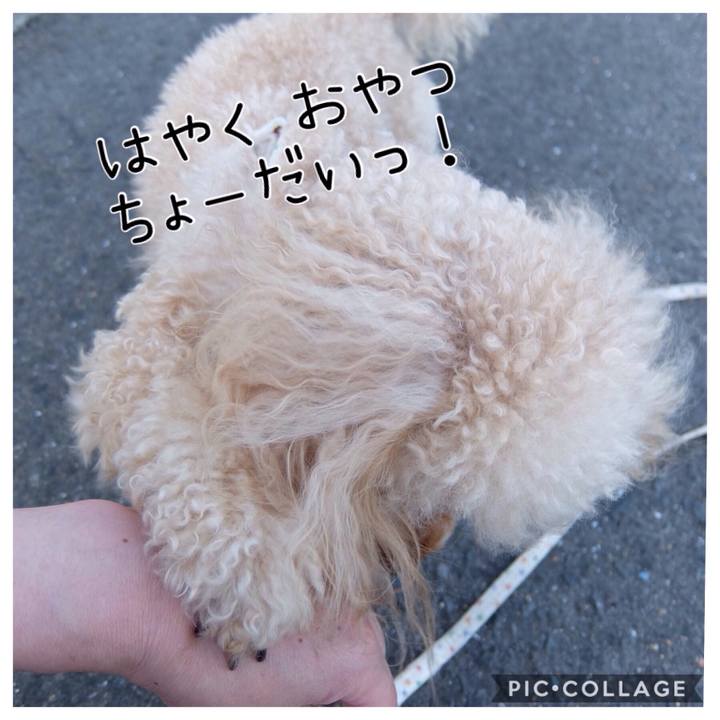 6a91c534 c530 456e ad28 f33f934161f6 1590274762761