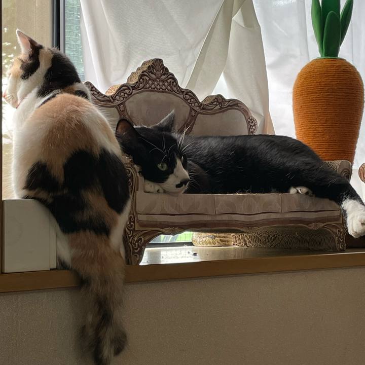 6a91ed34 fe79 4c33 91a6 9dcf0fb3f2dc 1721342772144