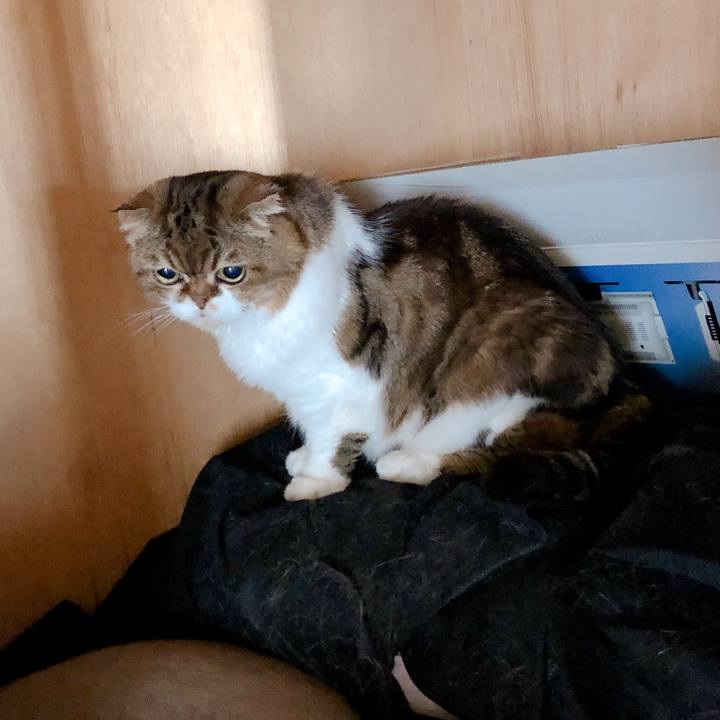 6a9201fa 2c5a 4b7b b808 185c5d202847 1567831166651