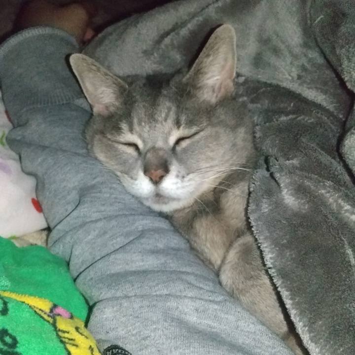 6a921ef1 e08d 4be5 acd7 51af04f674e9 1645455605381