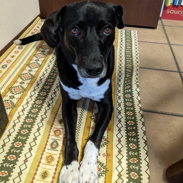 6a923afa 3163 4b8b b304 b709440b0fbe 1630321129342