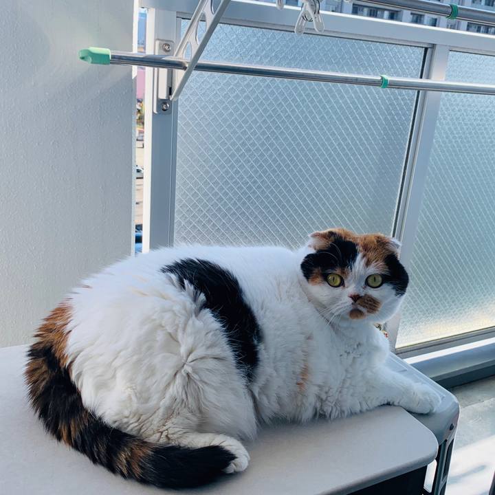 6a92a265 4725 43c3 b326 090b36928180 1572236352902