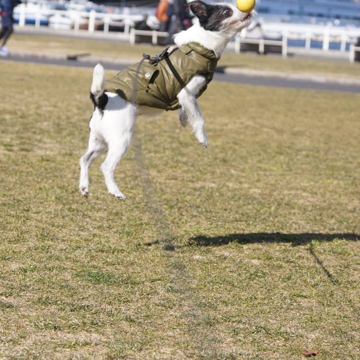 6a92b52b 0a40 464c ad00 d3ecf02b4a99 1645016628634