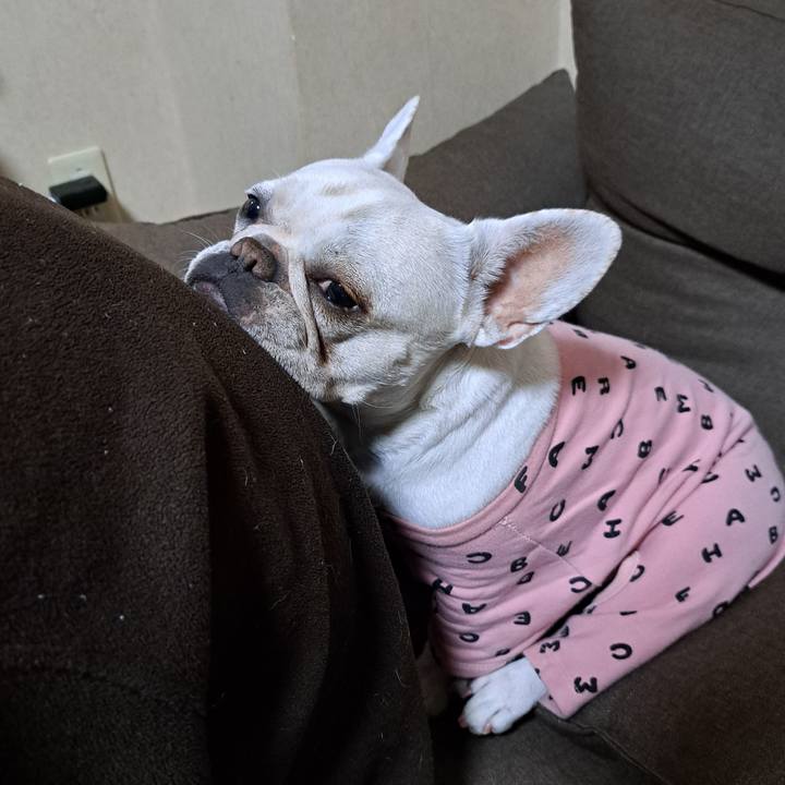 6a92ed35 fedd 4d6a 887a 4eb6e0349a84 1709765065896