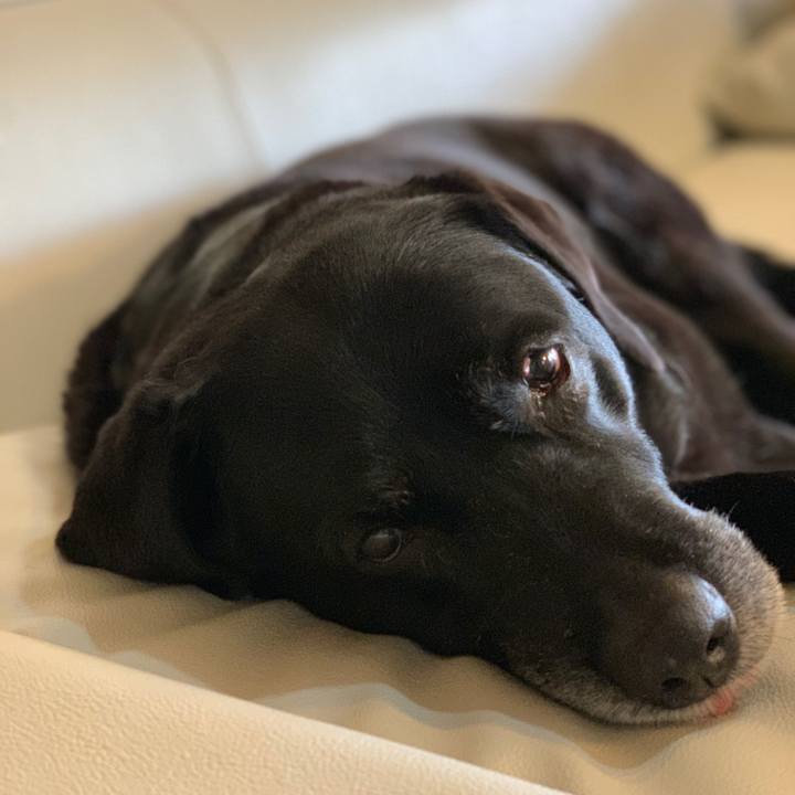 6a93015d 9eaf 4ced a137 815b2b48d5f3 1555299045168